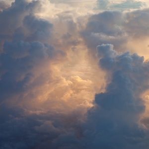 Meet your Posher, Oona